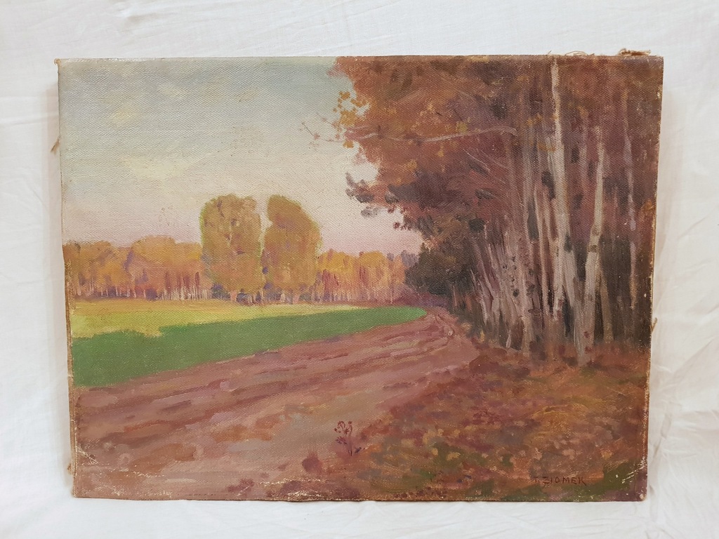 ZIOMEK Teodor (1874-1937) - Wczesnojesienny pejzaż