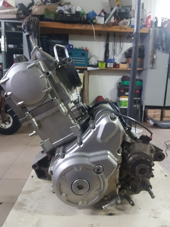 Silnik Yamaha Raptor 700