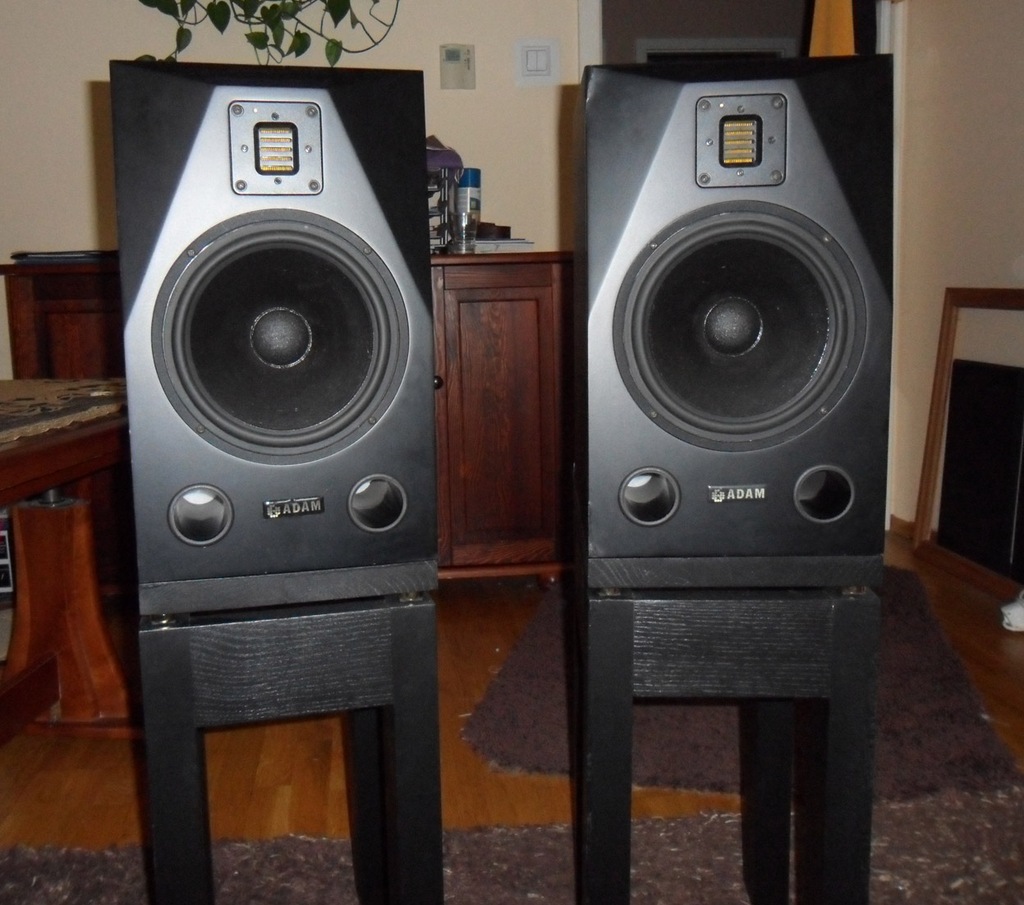 adam audio p22a