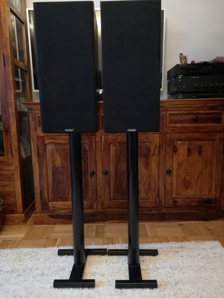 PARADIGM MONITOR 3 V.2 + standy
