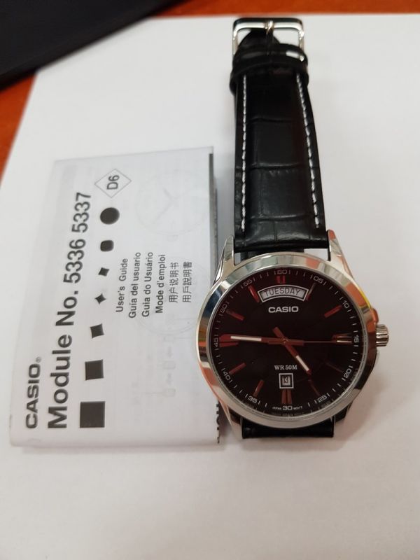 casio 1381