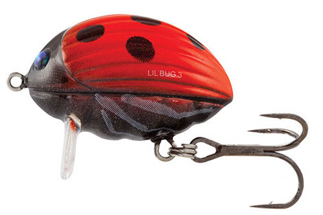 Wobler SALMO Lil'Bug Ladybird 2,5cm 2,8g 2F GRATIS