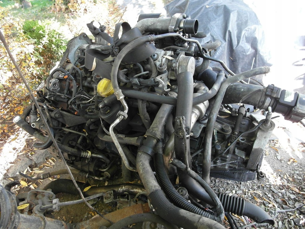 Silnik 1,9 dCi 120KM Renault Laguna Megane Scenic