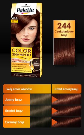 PALETTE SZAMPON KOLORYZUJĄCY 244 CZEKOLADOWY BRĄZ