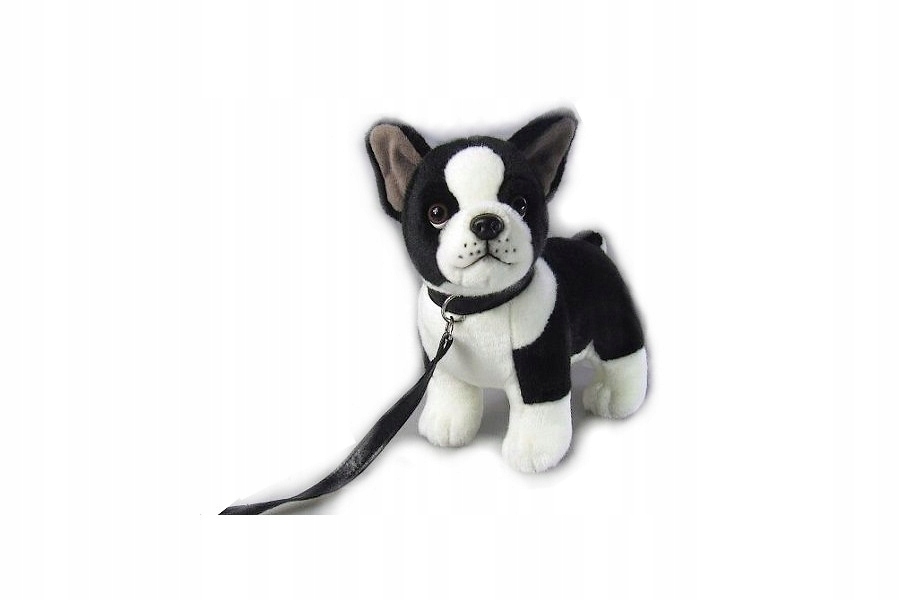 MASKOTKA PIES BULDOG FRANCUSKI NA SMYCZY 23cm ROXI