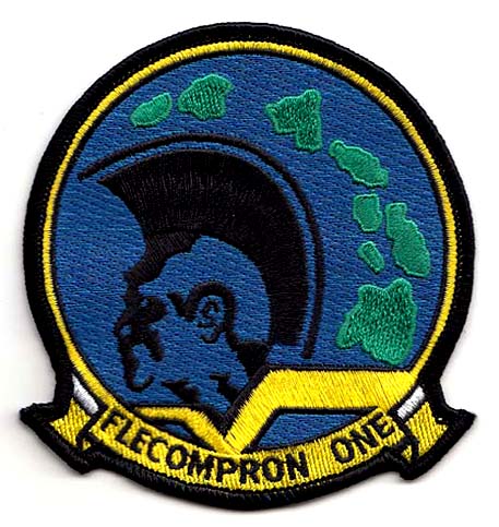 VC-1 Eskadra Lotnictwa US.NAVY