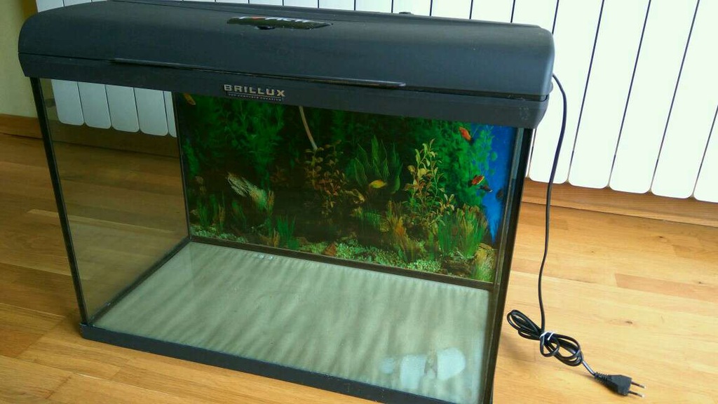 Akwarium 60x30x40 Brillux 60P 72l 2x24W T5 pokrywa