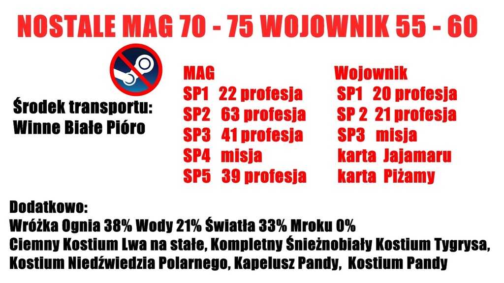 NOSTALE *KONTO BEZ STEAM* MAG I WOJOWNIK + EQ