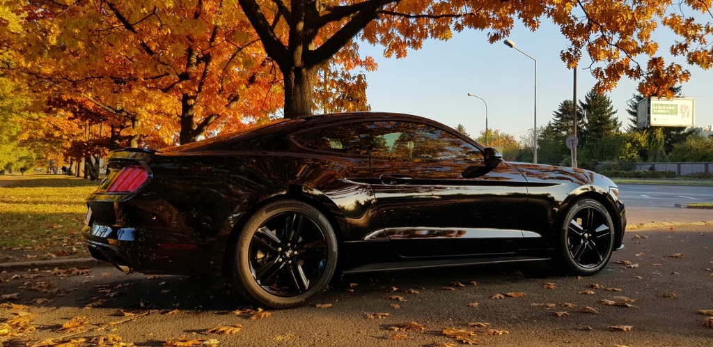 Ford mustang 19