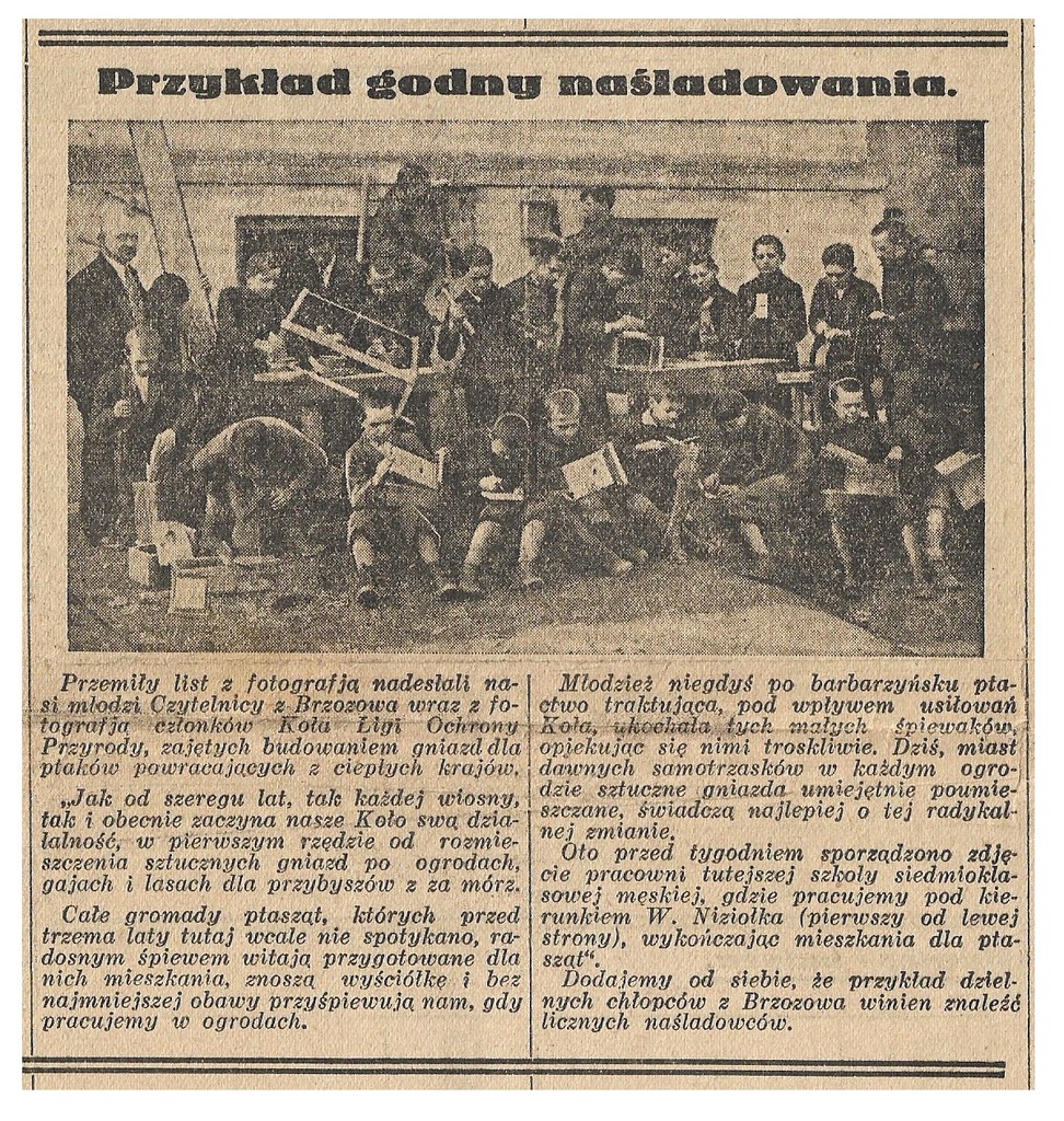 BRZOZÓW LOP PTAK BOCIAN CZARNY KROTOSZYN KOSÓW