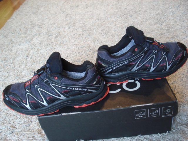 Salomon trail blazer 2 2024 gtx