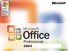 Microsoft Office Professional 2003 PL  JAK NOWY