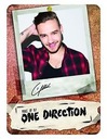 Make Up by One Direction Палетка для макияжа LIAM