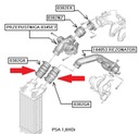 TUYAU DE RADIATEUR CITROEN PEUGEOT 1.6 HDI 0382.GK photo 6 - milautoparts-fr.ukrlive.com