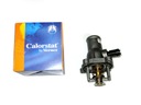 CALORSTAT BY VERNET TE6983.105J TERMOSTAT, DETERGENT COOLING photo 1 - milautoparts-fr.ukrlive.com