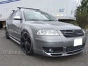 SPOILER COUVE-JOINT AVANT PASSAT B5 RÉFECTION 3BG TFB TUNING photo 1 - milautoparts-fr.ukrlive.com