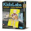 Anatomia Klatka Piersiowa Zabawka Edukacyjna domu