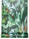 tapety ako džungľa, zelené listy. dažďový prales EAN (GTIN) 4051315106792