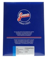 Fomaspeed C311 10x15 см/100 глянцевая бумага