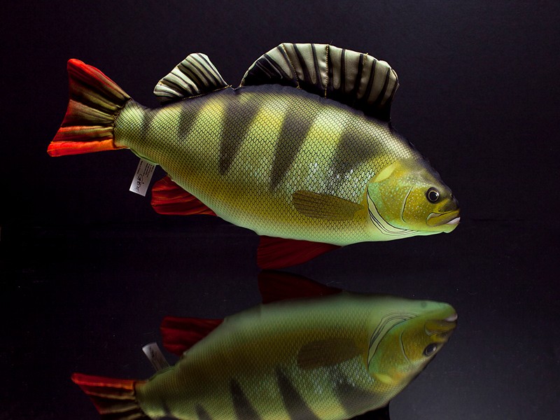 Ryba OKOŃ - PODUSZKA PLUSZOWA DUŻA 50cm 7476356345 - Allegro.pl