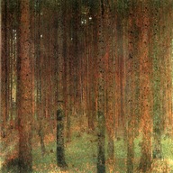 Obraz Forest - Gustav Klimt 55x55
