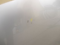 TOYOTA AURIS et 06- 2006 Capot
