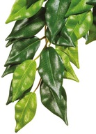 Hagen Roślina sztuczna silk Ficus S EX-0308