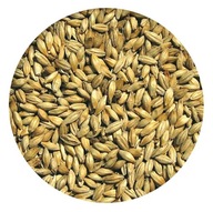 Słód jęczmienny PALE ALE ZERO Viking Malt 5kg