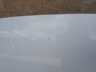 Motorhaube Fronthaube SCUDO EXPERT JUMPY PRO ACE