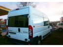BELKA TYL DUCATO BOXER JUMPER 06-