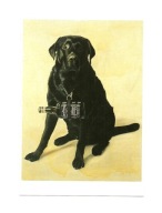 Karnet - Pies z butelką whisky / labrador ...