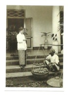 Pocztówka - Sprzedawca owoców / Jawa, ok. 1920 r.