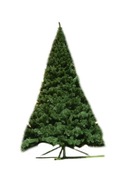 Vianočný strom umelý borovica gigant 5 m výrobca pl