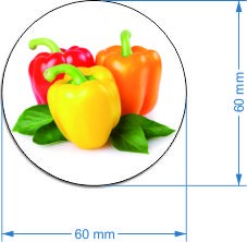 Овощные магниты на холодильник - VEGETABLE MAGNET 16 ШТ.