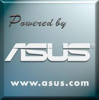 C21N1347 Аккумулятор для ASUS A555 A555L F555L C21N1347