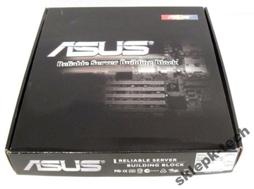 ASUS DSBF-D12 /SAS/2GBL 771 FV