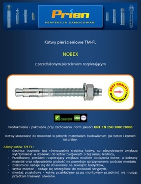 Kotwa stalowa / Kotwy ekspresowe M16x170 10 szt.