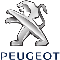 ПЕРЕДНИЕ АМОРТИЗАТОРЫ PEUGEOT 308 SW/CC CITROEN C4