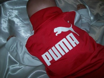 НОВЫЙ СПОРТИВНЫЙ КОСТЮМ PUMA ДЛЯ МЛАДЕНЦЕВ 80 СМ.