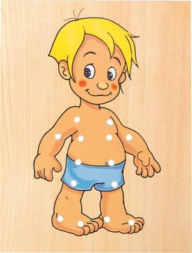 Woody Lacing для заправки Dawid