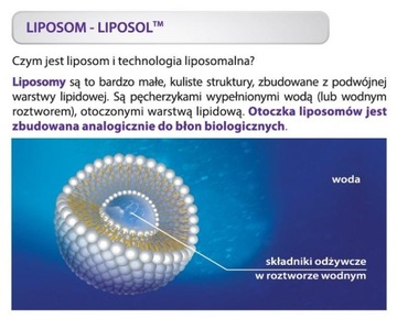 Липосомальная куркума - Liposol Curcumin 3 PLUS