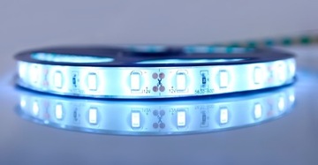 Taśma LED 5630 300LED IP65 wodoodporna ZIMNA 5m