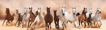 Мужской кожаный кошелек Wild Horse, коричневый футляр