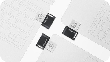 Samsung Pendrive FIT Plus USB 3.1 256 ГБ серый