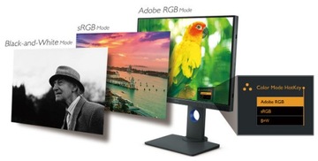 Новый монитор Benq SW240 / 24 дюйма / Adobe RGB