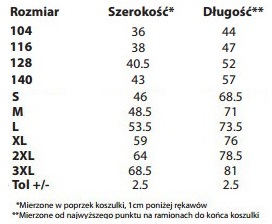 Футболка с автомобилем в подарок водителю HQ L