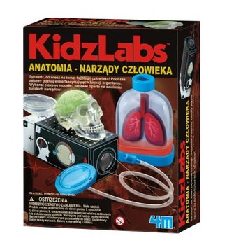 Развивающая игрушка 4m анатомия narzady человека, фото