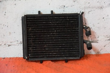 Aprilia leonardo 125 radiator, фото