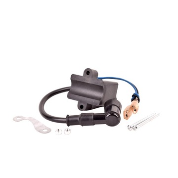 Ignition coil to motor bicycle block. ignition coil, фото