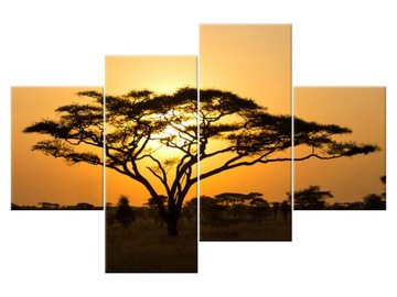 Image acacia в serengeti 120x80 landscape 1249a_ 4g, фото